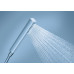 Ручной душ Grohe Euphoria Cube 27698000