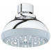 Верхний душ Grohe New Tempesta 100 IV 27606001 (27606000)