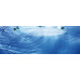 Верхний душ Grohe Rainshower 28778 000